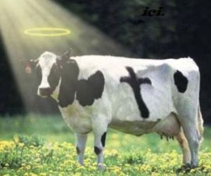 sacred-cow